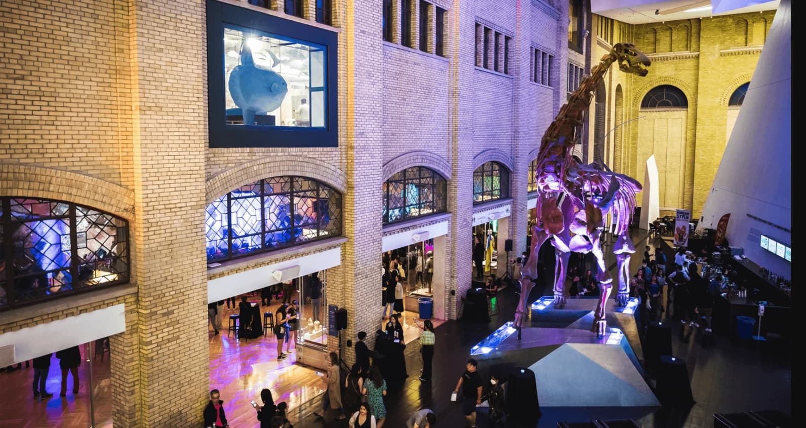 Royal Ontario Museum Visit